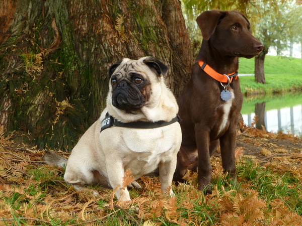 Mijn 2 kanjers samen