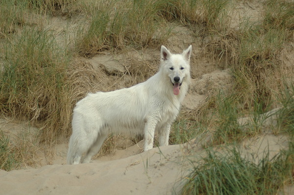 Mijn mooiste plaatje