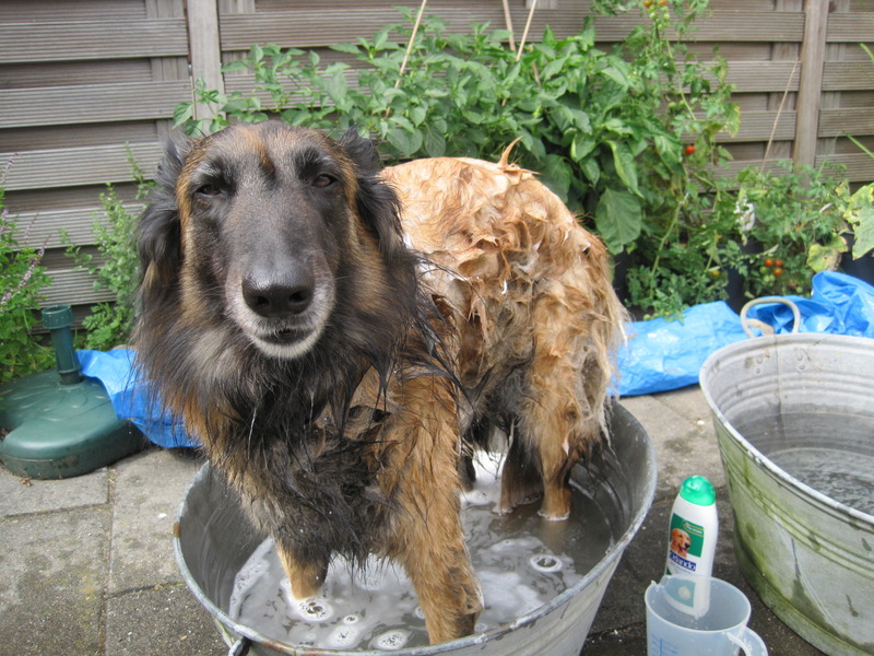 Jaarlijkse wasbeurt....