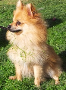 keesiej op de boulervard