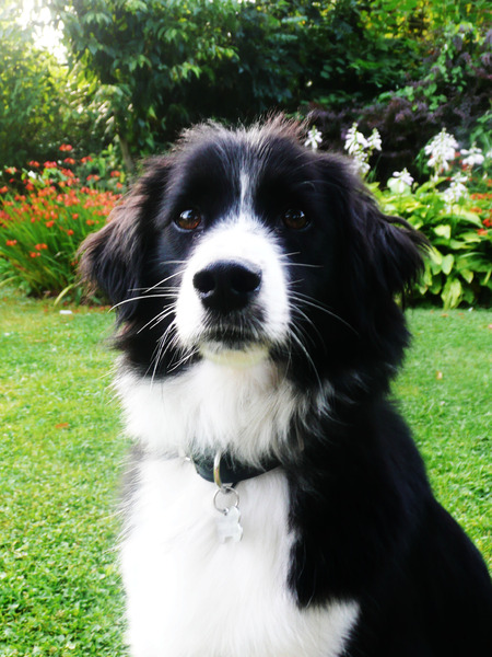 mijne dikke vriend =D