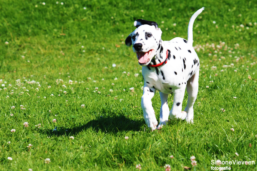 Live is all about having fun