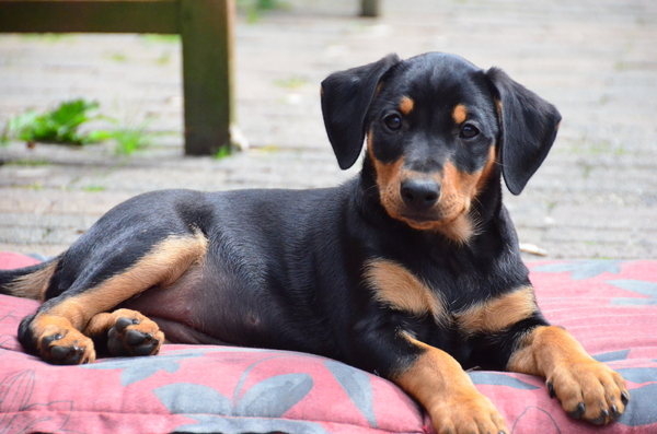 Sta ik er zo van mijn beste kant op?????