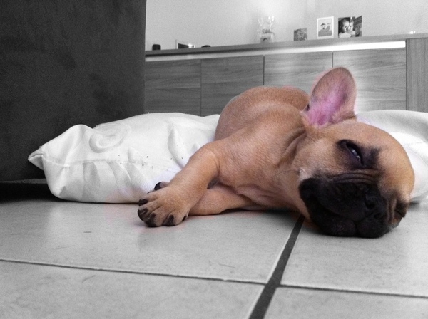 Today I don't feel like doing anything...