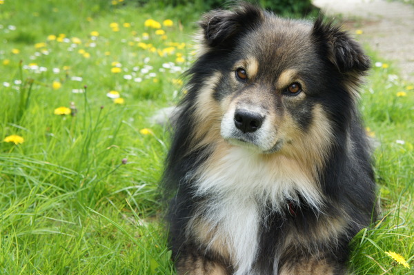 Is het geen plaatje...? ;)