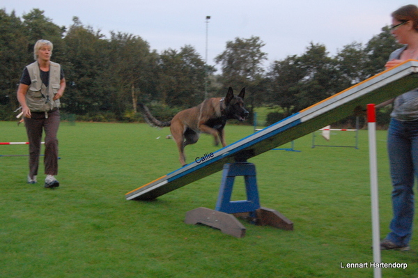 Kennel Van Goeden Huize