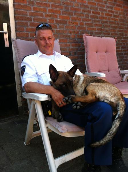 Kennel Van Goeden Huize