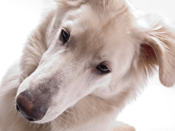 Doe ik het goed vrouwtje? 