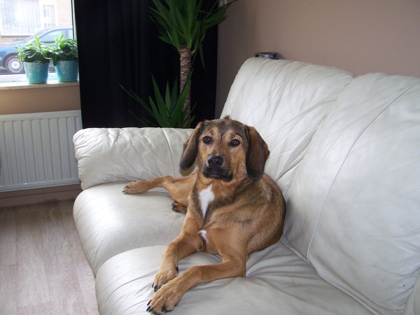 Lara aan het poseren