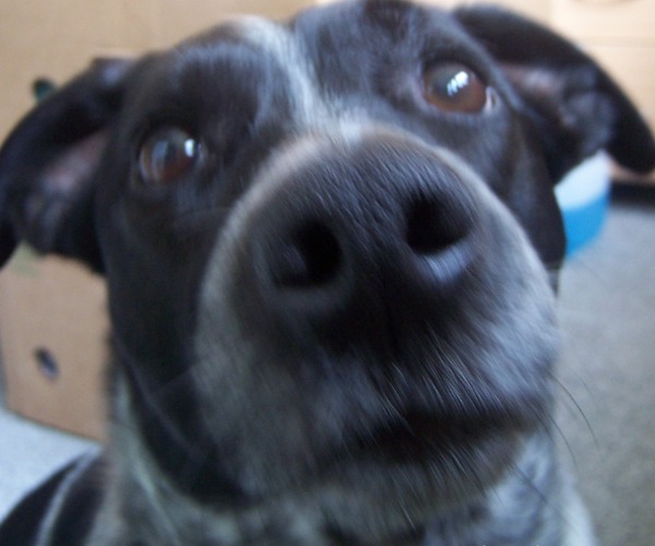 Hu wat vertel je nu ???