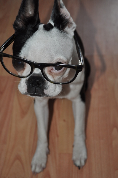 Jullie zochten een professor?