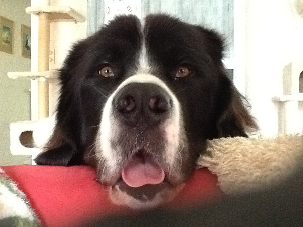 uuhhh......huhuh....huhuh.....