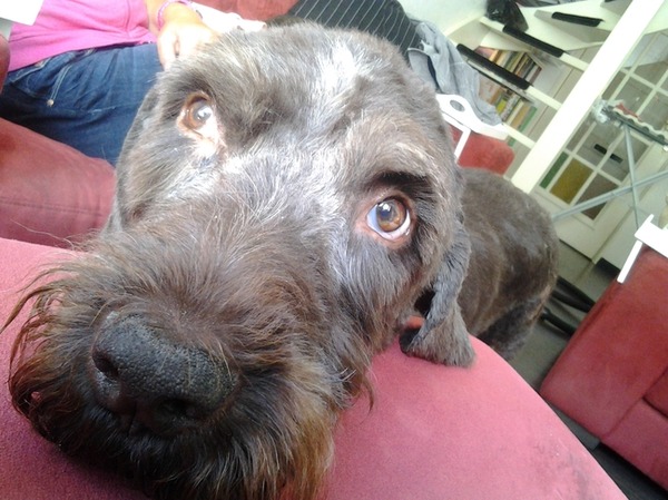 diep aan het nadenken 