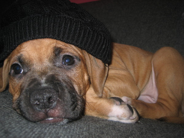 Bruno de schattigste !!!