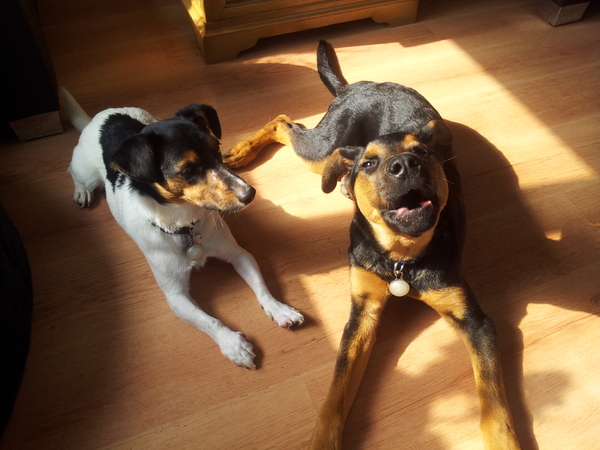 Aaaaawwwoooeeeehhhhhh!!!!!