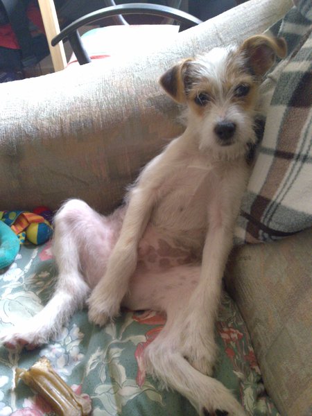 De prins op zijn troon