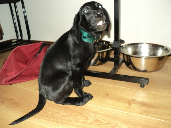 Yep, Heb alles opgegeten... 'Mocht dat niet?' 