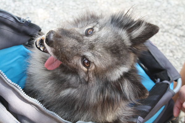 Had wel even mogen tandenpoetsen...