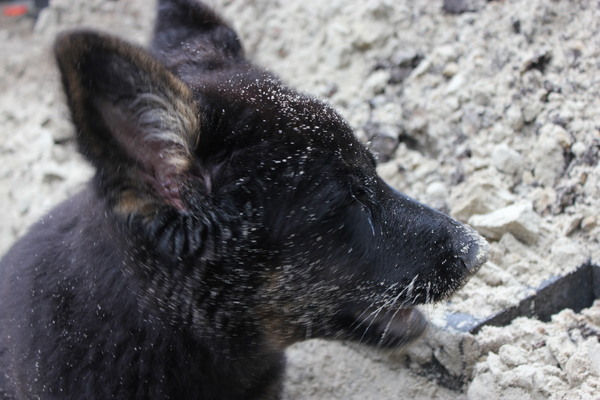 jakkie wat is zand toch vies