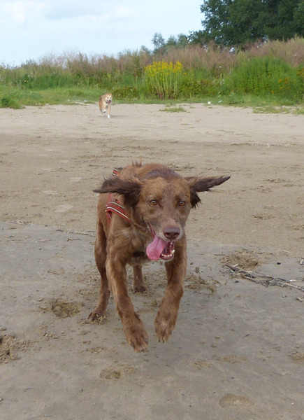 Is het een vliegtuig?