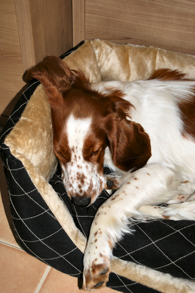 Hey mijn oor past en niet meer in!!!!