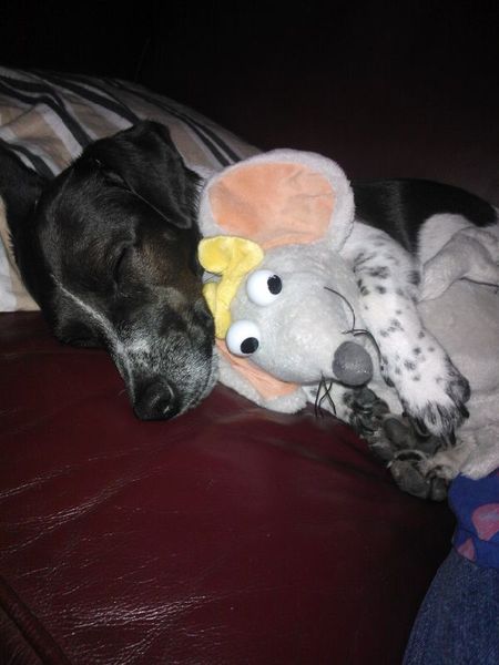 Mijn lieve vriendinnetje