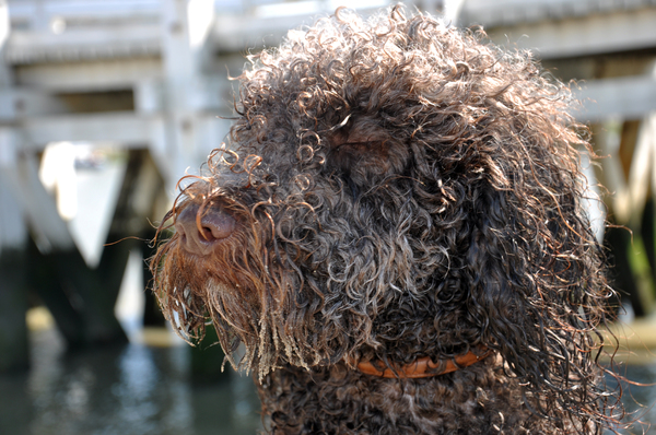 Ik kijk lekker niet!