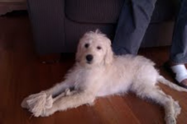 Noortje - bijna 11 weken