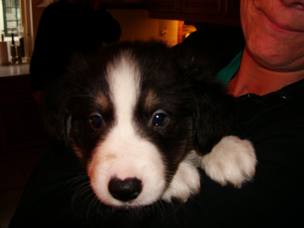 Wat ben ik zielig hé!