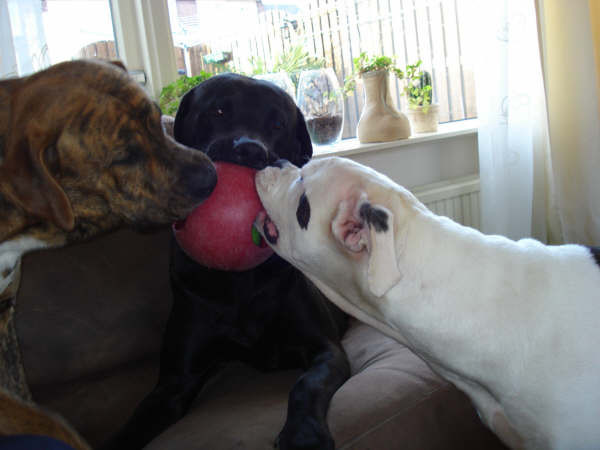 Wie gaat er mee vandoor??