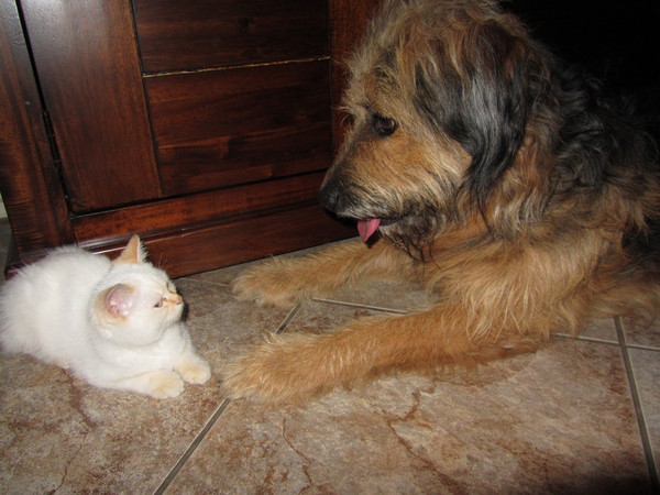 Dit is echt het allerleukste speeldoed voor levi.