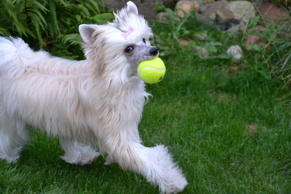 Kijk hij past in m'n bek!