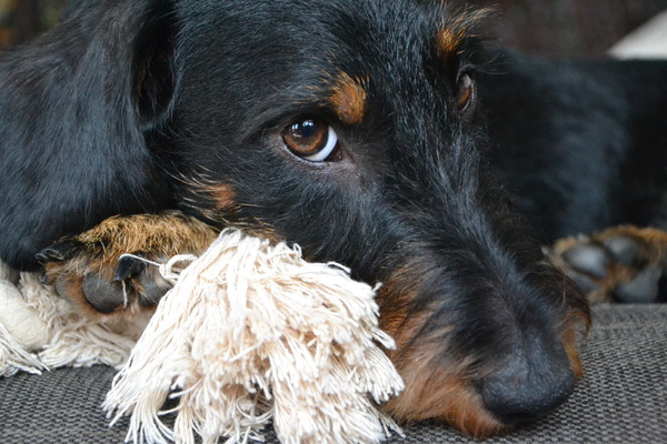 Pepijn + flosje = <3