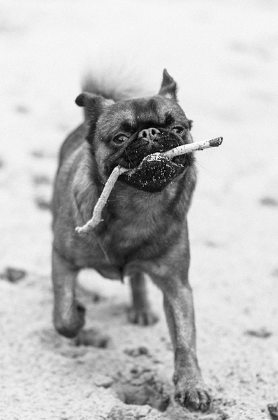 Ecologisch verantwoord speelgoed