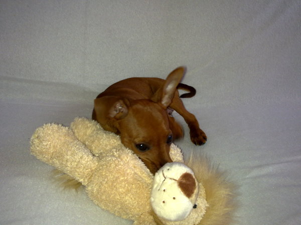 Yuna met haar eerste knuffel waar ze nog elke dag mee speelt