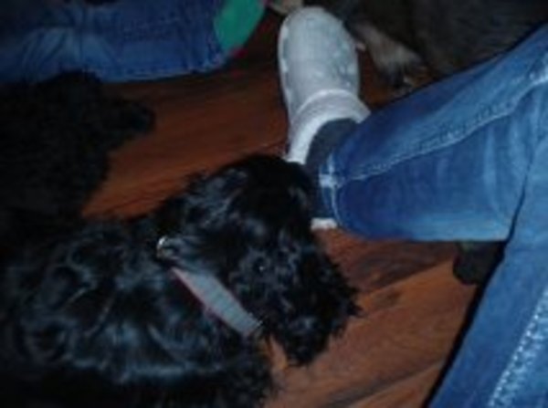 Elmo met zijn favoriete speeltje