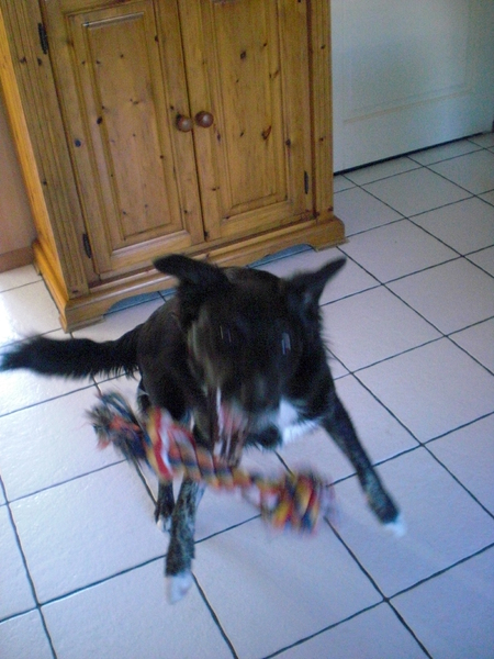 Oh sorry, trek ik een gekke bek?