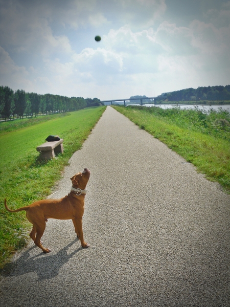 Waarom blijft die bal in de lucht hangen?