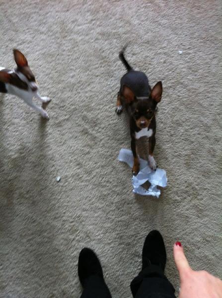 Papier blijft het leukste speelgoed!!