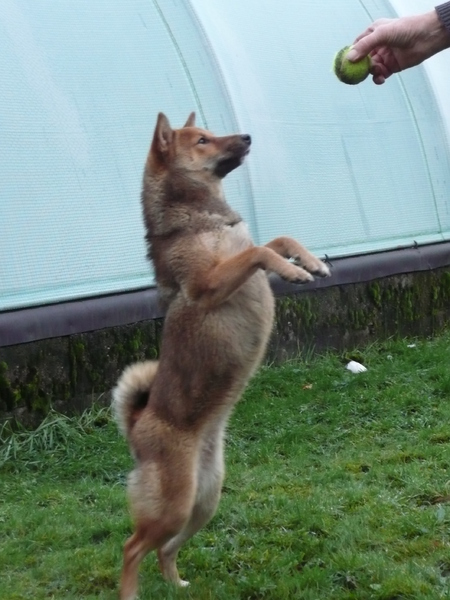 Maggik de balllll :-)