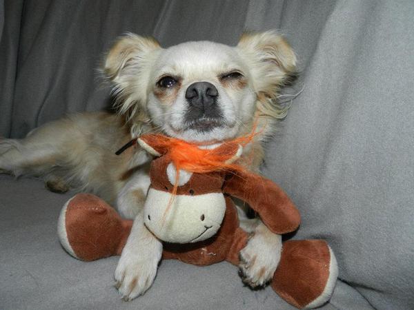 samen spelen, samen slapen!