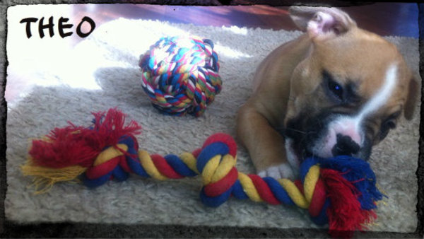 Theo kan niet kiezen..