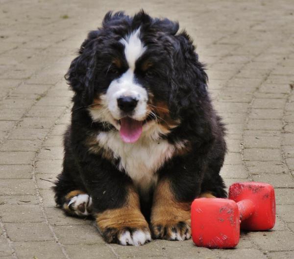 Nog een maatje te groot..