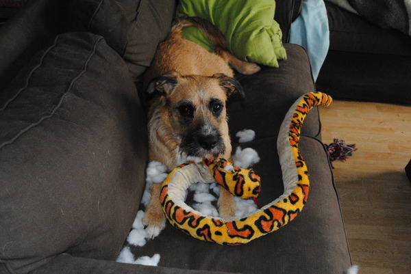 Dit WAS mijn lievelingsspeelgoedje...