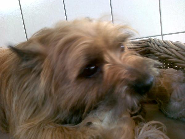 max met zijn flostouw