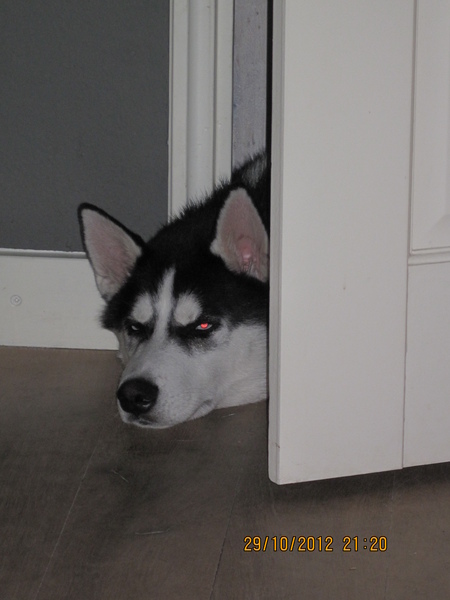 Mijn favoriete speelgoed is 'de deur' Kiekeboe...Haha