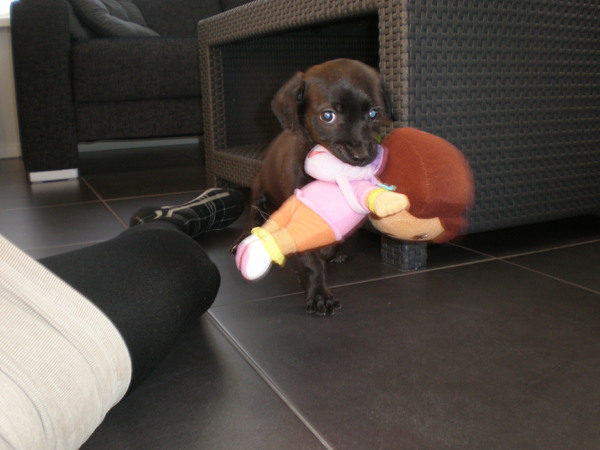 HET LUKTE HET LUKTE!!!!!!! 