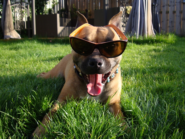 Joy met mijn zonnenbril op