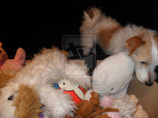 al het speelgoed vind ik leuk