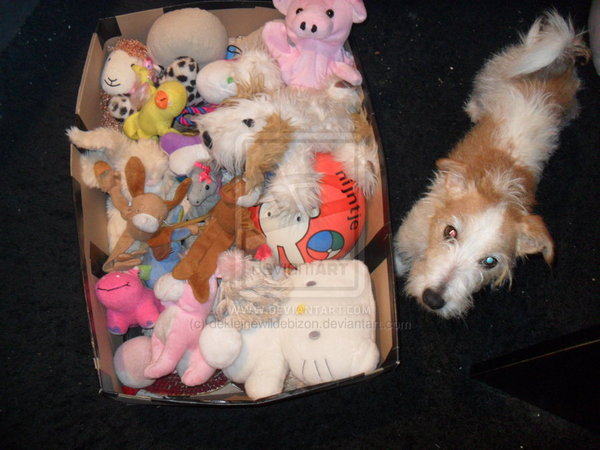 met mijn lievelings doos speelgoed 